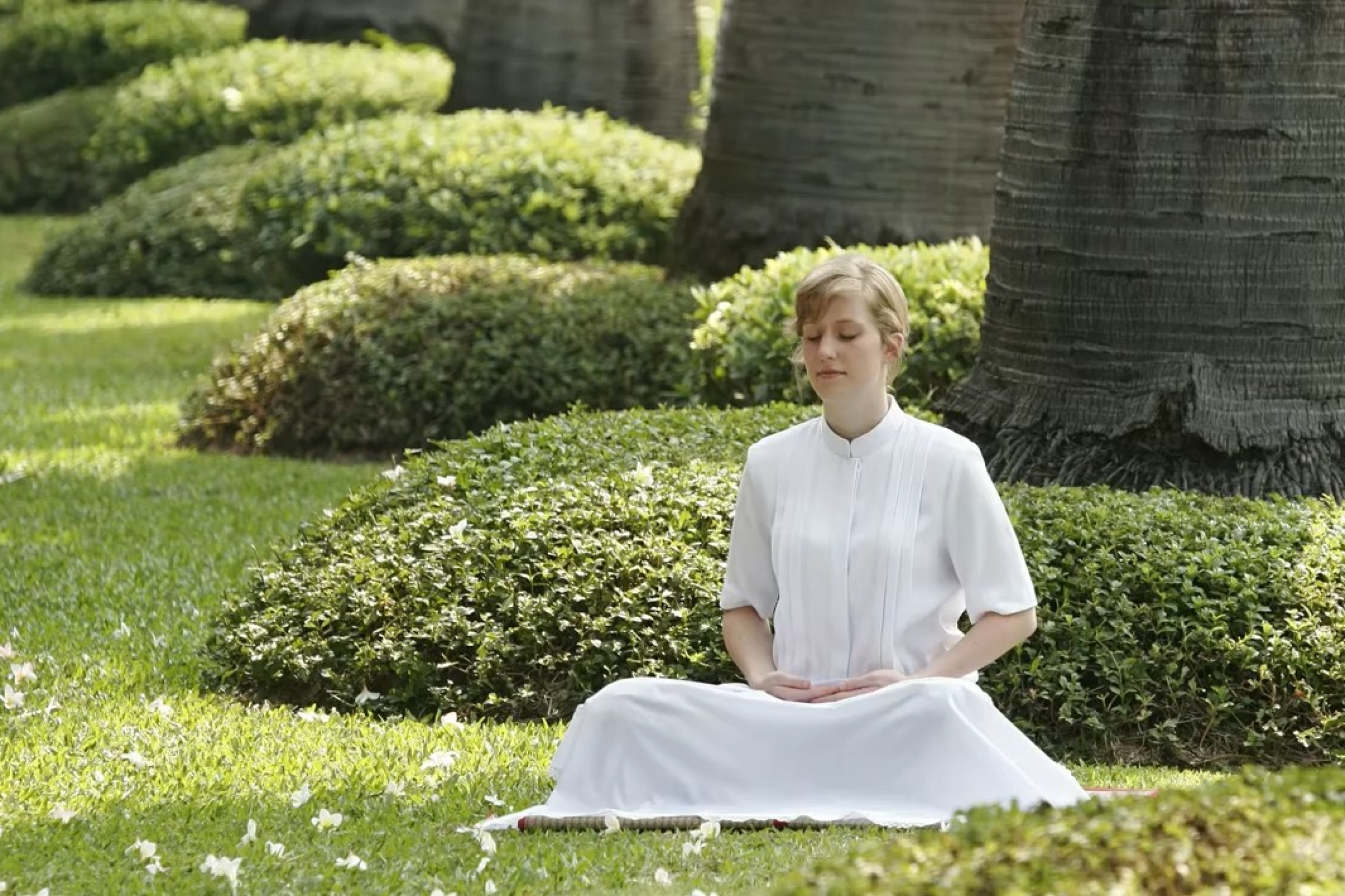 Step Into Peace at the Best Meditation Centers for Inner Growth