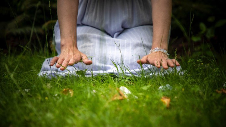 Energy Healing Techniques: A Beginner’s Guide